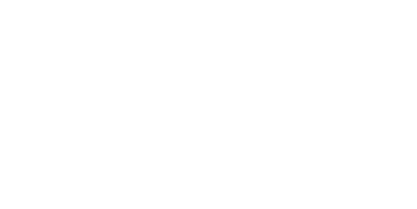 BMW GO1